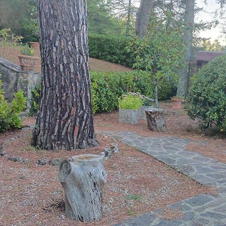 Villa Santa Margherita - La Suvera Ponte A Bozzone Eksteriør billede