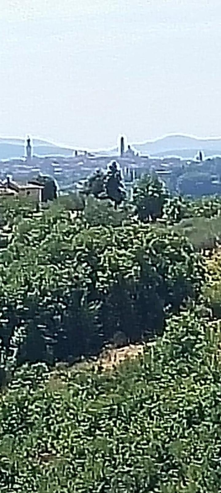 Villa Santa Margherita - La Suvera Ponte A Bozzone Eksteriør billede