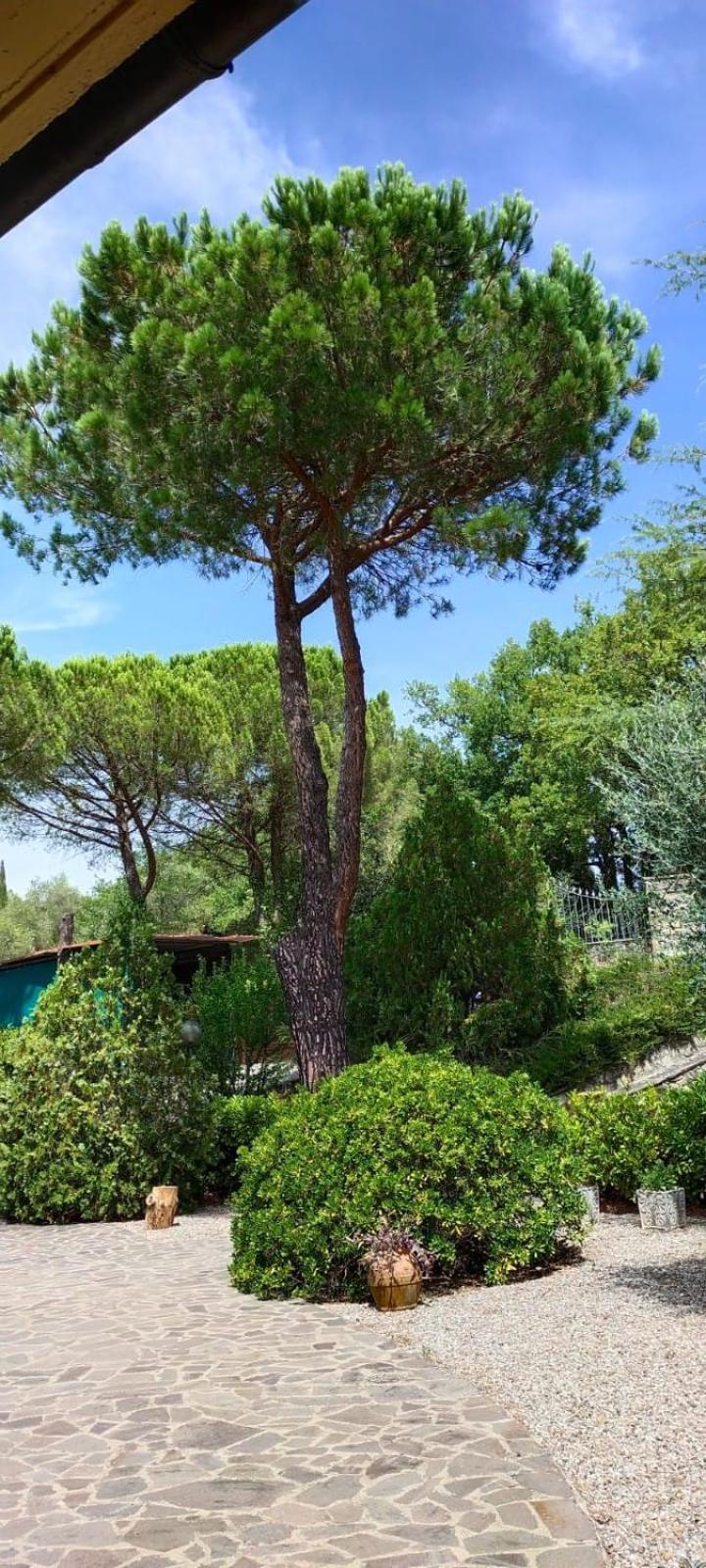 Villa Santa Margherita - La Suvera Ponte A Bozzone Eksteriør billede