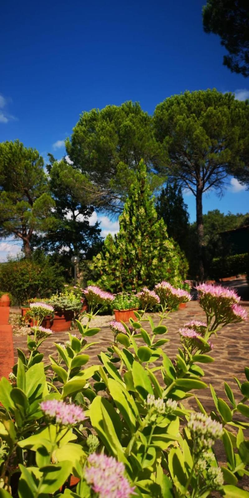 Villa Santa Margherita - La Suvera Ponte A Bozzone Eksteriør billede
