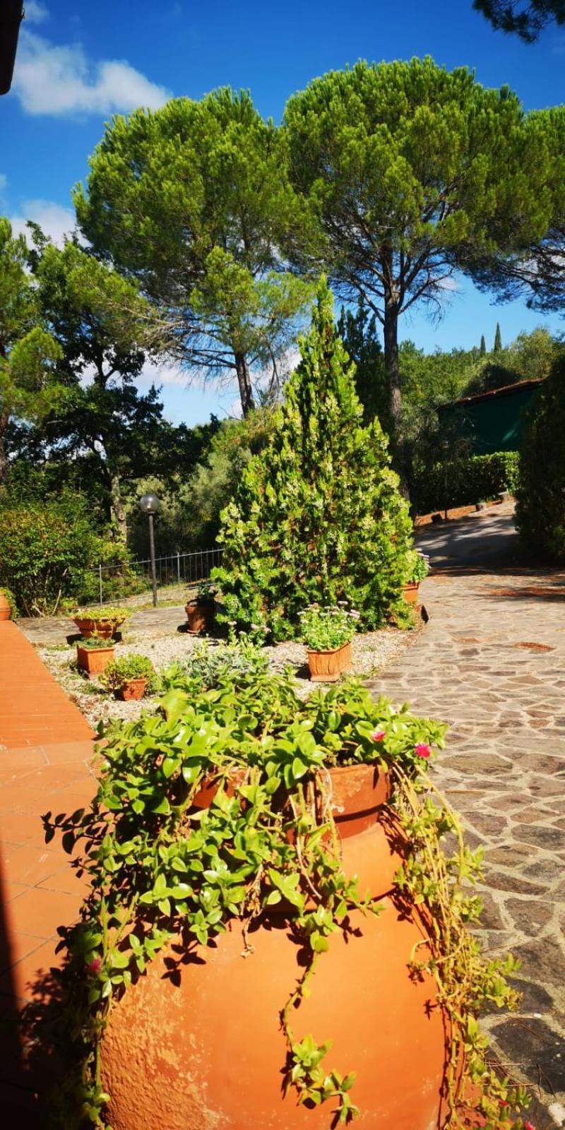 Villa Santa Margherita - La Suvera Ponte A Bozzone Eksteriør billede