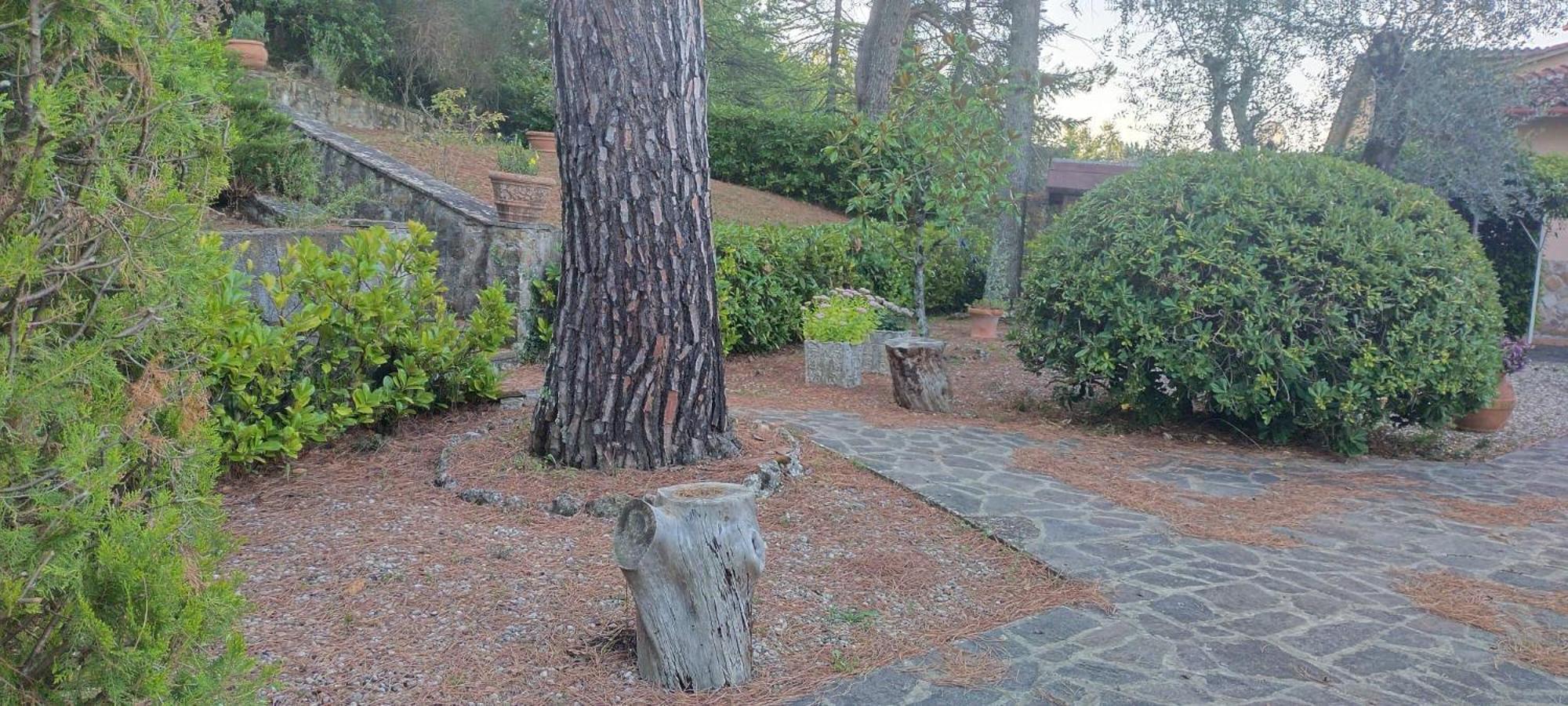 Villa Santa Margherita - La Suvera Ponte A Bozzone Eksteriør billede