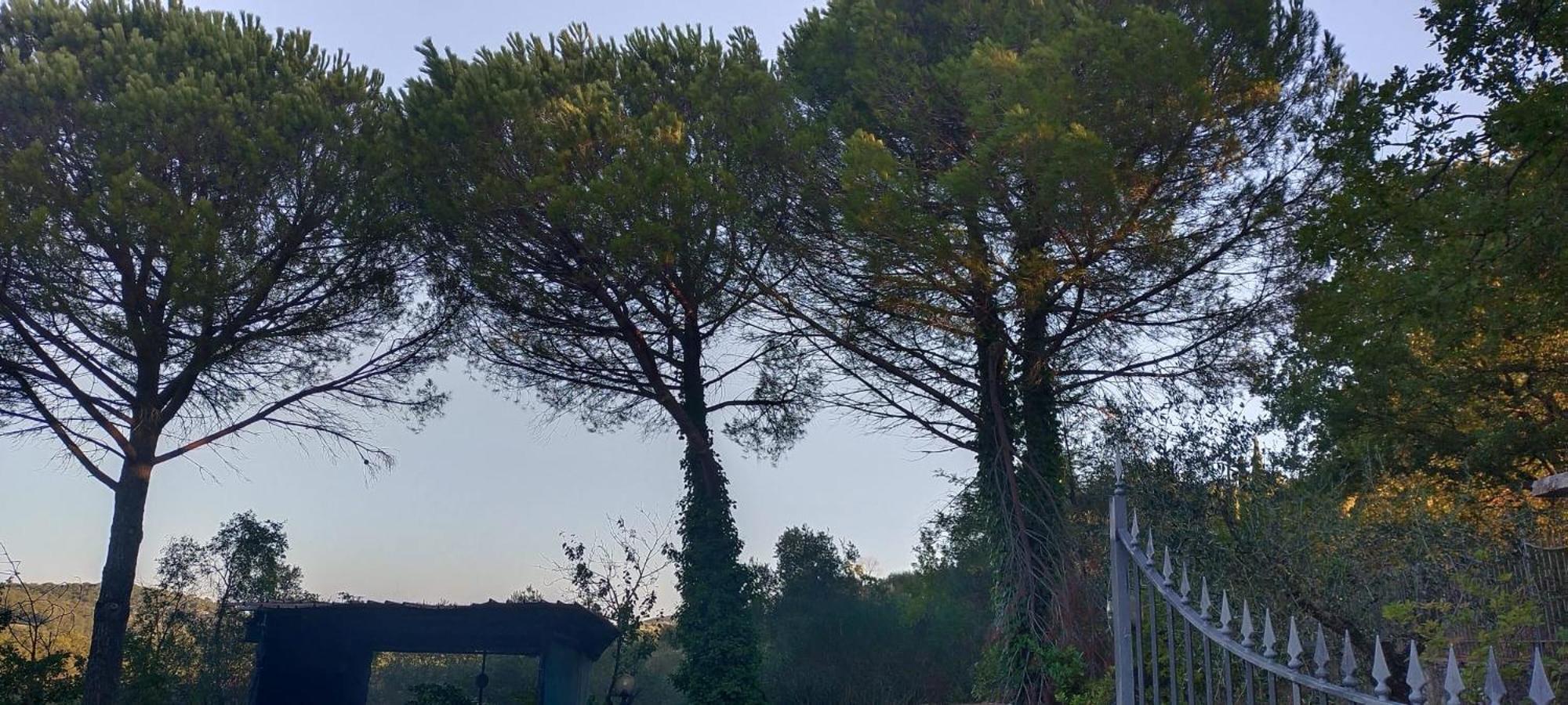 Villa Santa Margherita - La Suvera Ponte A Bozzone Eksteriør billede